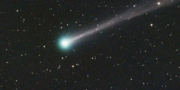 C/2025 R3, une comète du nuage d'Oort visible à l'œil nu avant l'aube