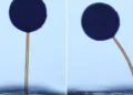 D'un coup d'aimant, des « magno-bots » microscopiques effectuent des manœuvres complexes