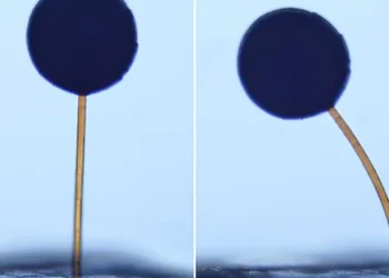 D'un coup d'aimant, des « magno-bots » microscopiques effectuent des manœuvres complexes