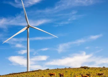 PepsiCo signe un accord d'énergie éolienne avec ses fournisseurs en Espagne