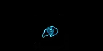 De la lumière sans électricité ? Des algues luminescentes pourraient le permettre