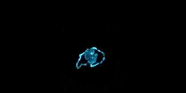 De la lumière sans électricité ? Des algues luminescentes pourraient le permettre