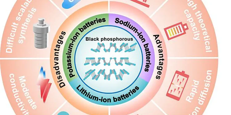 Phosphore noir pour les futures batteries à ions métaux alcalins : grandes promesses, grands défis
