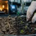 Comment le biochar de nouvelle génération peut révolutionner la dépollution et la durabilité circulaire