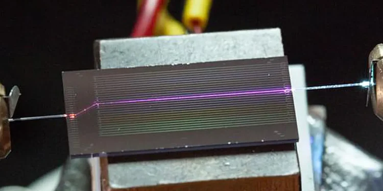 De la lumière ultraviolette sur une puce