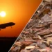 Les règles de l'UE pourraient rendre les carburants d'aviation sans fossiles inutilement chers et énergivores