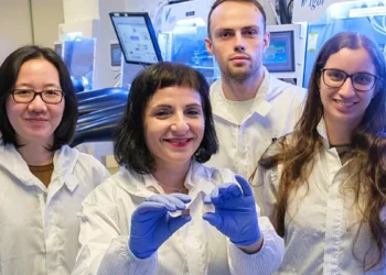 Des cellules solaires quasi invisibles capables de transformer les fenêtres en générateurs d'énergie
