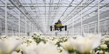 Des drones sans GPS retrouvent leur chemin comme les abeilles