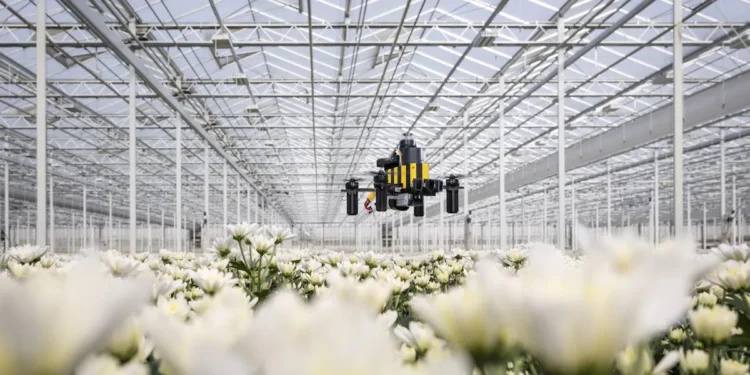 Des drones sans GPS retrouvent leur chemin comme les abeilles