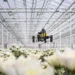 Des drones sans GPS retrouvent leur chemin comme les abeilles