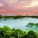 Les orages tropicaux menacent le stockage de carbone en Amazonie