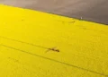 Dans l'Aisne, 42 % des poids lourds roulent déjà au biocarburant