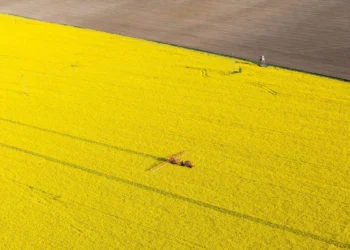 Dans l'Aisne, 42 % des poids lourds roulent déjà au biocarburant