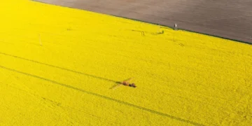 Dans l'Aisne, 42 % des poids lourds roulent déjà au biocarburant