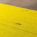 Dans l'Aisne, 42 % des poids lourds roulent déjà au biocarburant