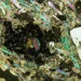 Des scientifiques cartographient des roches au potentiel d'éléments de terres rares