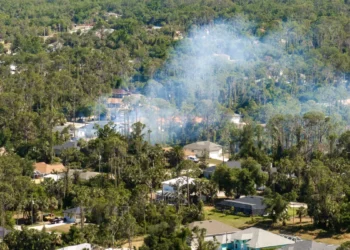 Incendies de végétation : le CNRS alerte sur la vulnérabilité des villes françaises