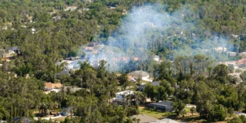 Incendies de végétation : le CNRS alerte sur la vulnérabilité des villes françaises
