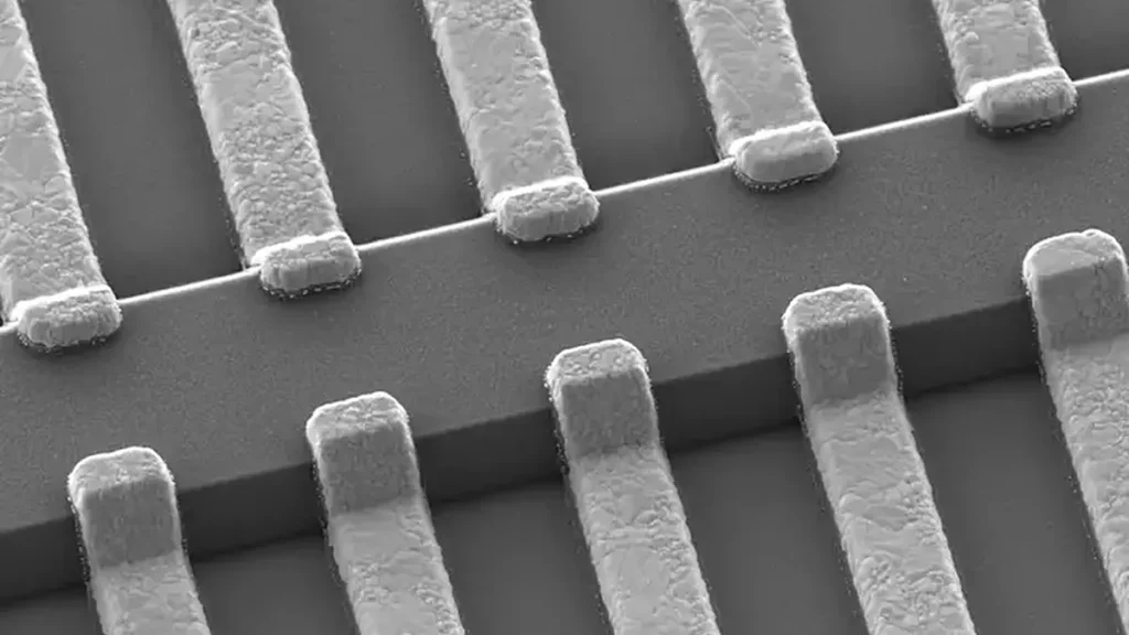 Image au microscope électronique à balayage d'électrodes métalliques utilisées pour la polarisation des parois latérales