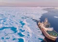 La chaîne alimentaire de l'océan Arctique perturbée après le franchissement d'un point de basculement clé
