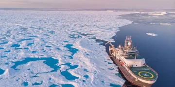 La chaîne alimentaire de l'océan Arctique perturbée après le franchissement d'un point de basculement clé