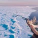 La chaîne alimentaire de l'océan Arctique perturbée après le franchissement d'un point de basculement clé