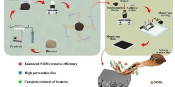Transformer les déchets de microalgues en membranes haute performance pour un traitement plus propre des eaux usées municipales
