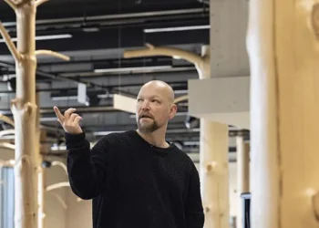 Du bois de rebut à élément porteur : un simple calcul pourrait changer notre utilisation du bois difforme