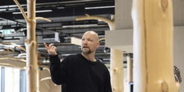 Du bois de rebut à élément porteur : un simple calcul pourrait changer notre utilisation du bois difforme