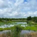 Les petites zones humides souvent négligées sont une source majeure de méthane mondial