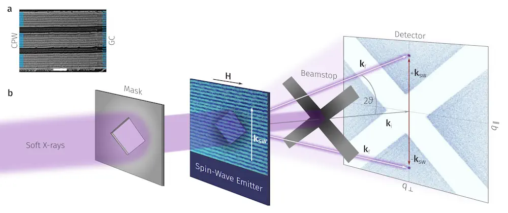 Microscopie de l'impulsion des magnons par rayons X mous. 2026 EPFL CC BY SA
