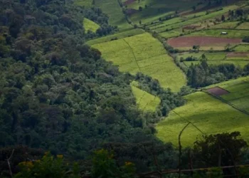 Optimiser l'usage des sols, un levier pour le climat et l'économie