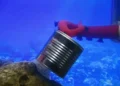 Un bras robotique inspiré de la pieuvre opère seul sous l'eau