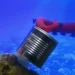 Un bras robotique inspiré de la pieuvre opère seul sous l'eau
