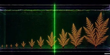 La microscopie en temps réel révèle la croissance des nanofils semi-conducteurs