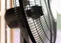 Canicule : EDF débloque 80 millions d'euros pour rafraîchir les écoles