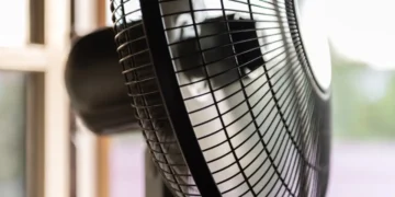 Canicule : EDF débloque 80 millions d'euros pour rafraîchir les écoles