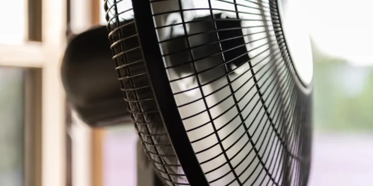 Canicule : EDF débloque 80 millions d'euros pour rafraîchir les écoles