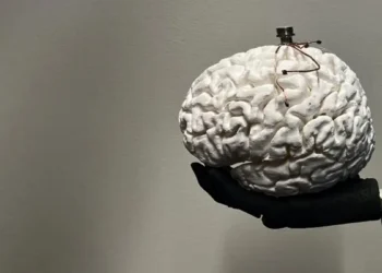 Restaurer les sens perdus : une technologie pour la vision artificielle et le toucher