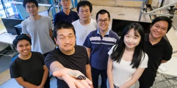 Des scientifiques développent une combinaison de plongée pour cafards cyborgs