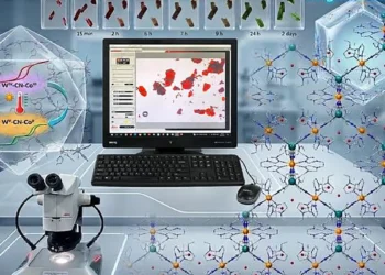 Des molécules intelligentes pour les capteurs et les processeurs
