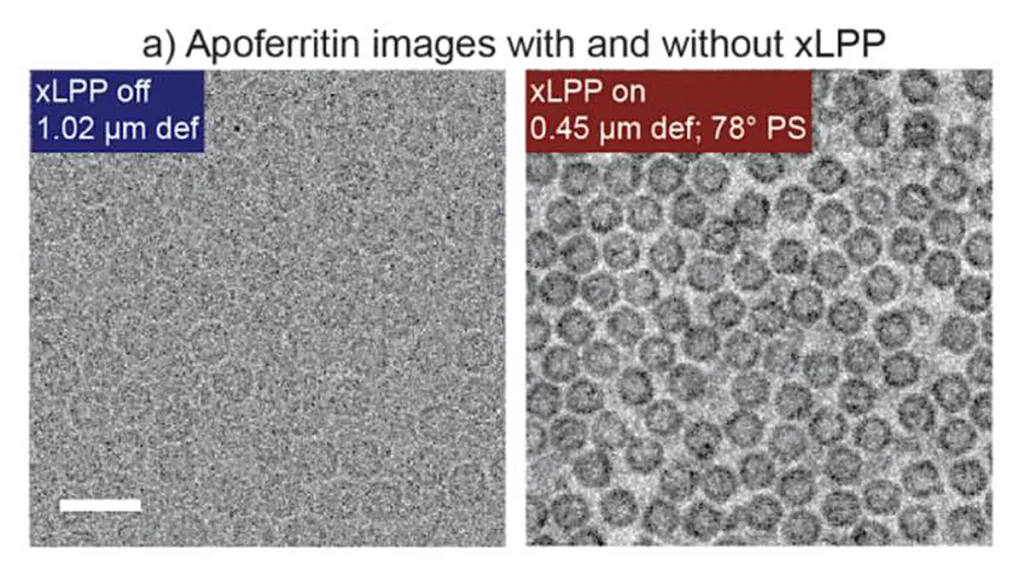 Les chercheurs du Biohub ont utilisé la plaque de phase à double laser (xLPP) pour obtenir une image d'une protéine appelée apoferritine, démontrant ainsi une nette