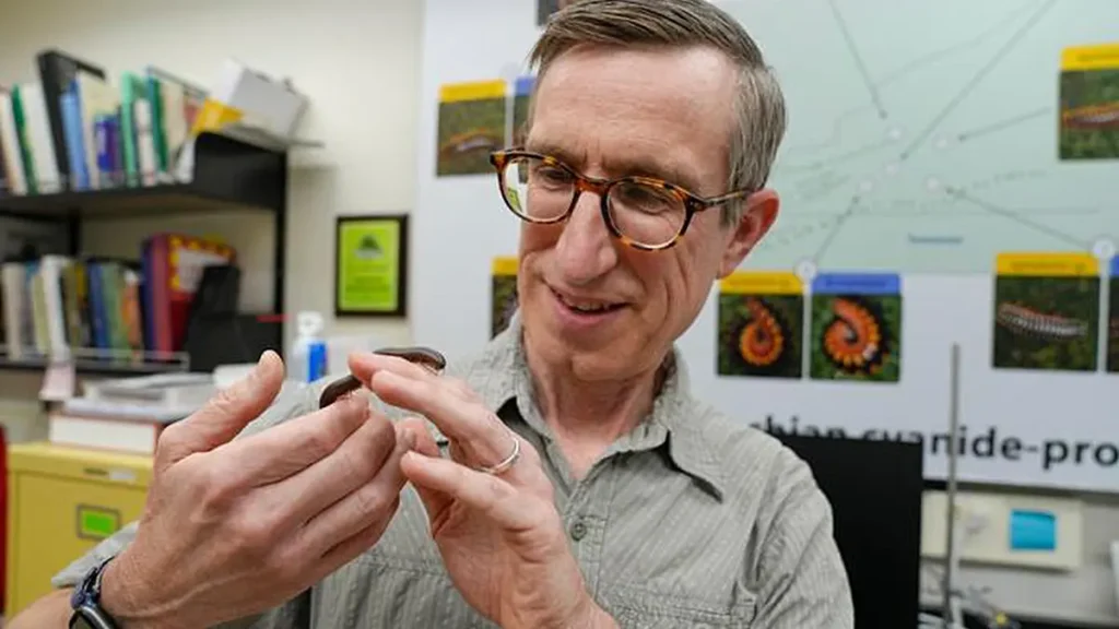 Paul Marek, chercheur principal, tient un mille-pattes dans son laboratoire d'entomologie à Virginia Tech. M. Marek a dirigé une étude qui a permis de résoudre un mystère vieux d'un siècle concernant l'arbre phylogénétique des mille-pattes. (Crédit : Photo de Marya Barlow pour Virginia Tech.)