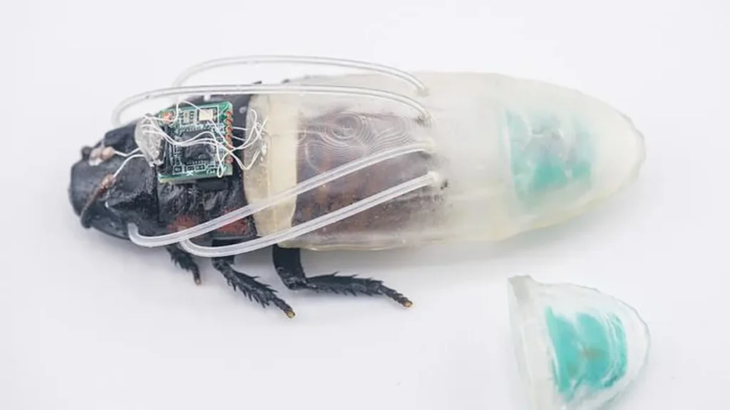 Gros plan sur l'insecte cyborg et la nouvelle combinaison de plongée, équipée de tuyaux reliés aux orifices respiratoires de l'insecte et d'un générateur d'oxygène fixé à l'arrière de la combinaison.