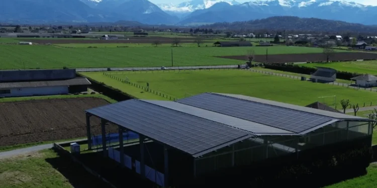 À Boeil-Bezing, le solaire couvre les terrains de tennis