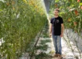 REDEN inaugure deux serres agrivoltaïques en Charente-Maritime et dans le Var