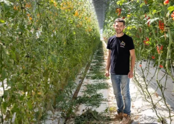 REDEN inaugure deux serres agrivoltaïques en Charente-Maritime et dans le Var