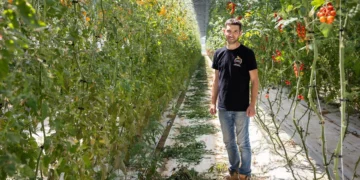 REDEN inaugure deux serres agrivoltaïques en Charente-Maritime et dans le Var