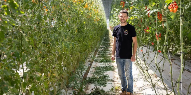 REDEN inaugure deux serres agrivoltaïques en Charente-Maritime et dans le Var