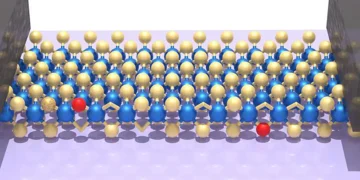 Des transistors extrêmement fins rapprochent les puces économes en énergie du futur